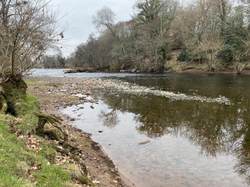 Abercynrig spring - FR from Hereford
